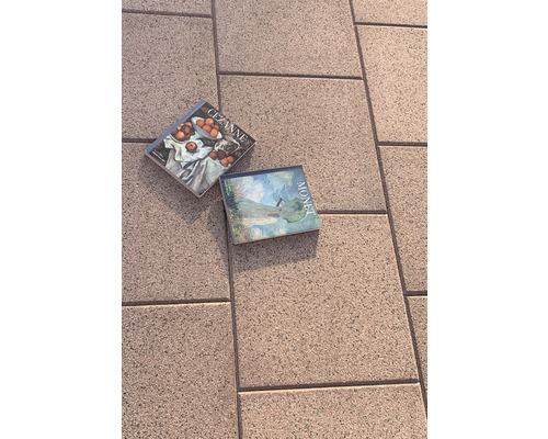 Zwei Kunstbände von Cézanne und Monet auf Pflastersteinen