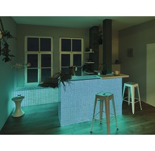 Küchenszene mit Bar, Hockern, Fenstern und Dekorationen