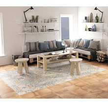 Heller Wohnraum mit Palettenmöbeln, gemustertem Teppich und Wandregalen.