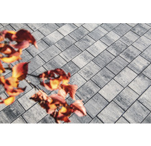 Graue Pflastersteine mit rechteckiger Form und Herbstlaub.