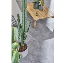 Graue Bodenfliesen mit Tisch und Pflanzen