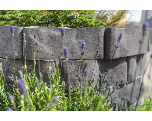 Gartenmauer aus Betonsteinen mit Lavendel im Vordergrund