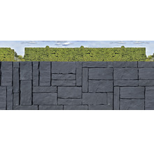 Gartenmauer aus Natursteinen mit Hecke