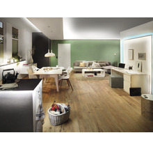 Heller Wohnraum mit Esstisch, Sofa, Schreibtisch und Holzboden