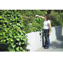 Frau gießt Pflanzen mit Gießkanne in einem Garten mit Betonmauer und Efeu