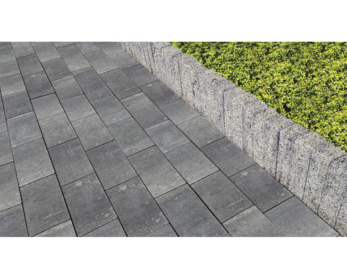 Graue Pflastersteine und Rasenkantensteine bilden einen Gartenweg.