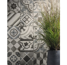 Wandgestaltung mit gemusterten Fliesen und Topfpflanze