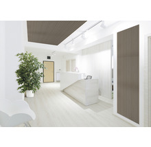 Heller Empfangsbereich mit Holzlamellendecke, weißer Rezeptionstheke und Zimmerpflanze.