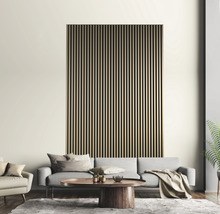 Wohnzimmer mit Akustikpaneel an der Wand, Sofa, Sessel, Tisch und Teppich