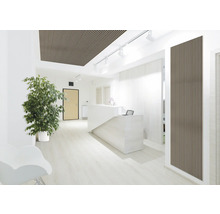 Heller Empfangsbereich mit Holzpaneelen an Decke und Wand, Rezeptionstisch und Büropflanze