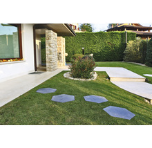 Gestalteter Garten mit Rasenfläche und Steinplattenweg