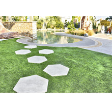 Gartenszene mit Rasenfläche, Wasserbecken und sechseckigen Trittsteinen