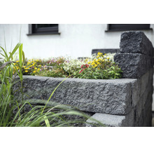 Hochbeet aus Betonsteinen mit Bepflanzung