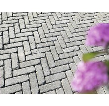 Pflastersteine im Fischgrätenmuster
