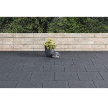 Terrasse mit Pflastersteinen, Pflanze im Topf und Mauer