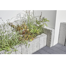 Hochbeet aus Betonsteinen mit Bepflanzung