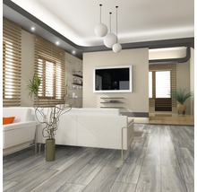 Heller Wohnraum mit Holzboden, Sofa, Fernseher und Fenstern mit Jalousien.