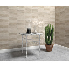 Beige, rechteckige Wandfliesen in einem modern gestalteten Raum mit kleinem Beistelltisch und Kaktus.