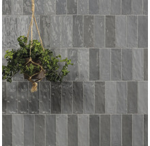 Wandfliesen im länglichen Format mit hängender Pflanze im Topf