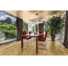 Heller Essbereich mit Holzboden, Esstisch, Stühlen, Zimmerpflanze und Tageslicht.