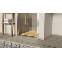 Badezimmer mit Dusche, Handtuchhalter und Holzboden