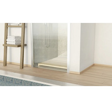 Badezimmer mit Dusche, Handtuchleiter und Holzboden