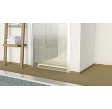 Badezimmer mit Dusche, Handtuchleiter und Fliesenboden.