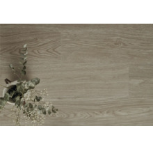 Nahaufnahme eines Vinylbodens in Holzoptik mit Topfpflanze