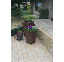 Gepflasterter Weg mit Pflastersteinen, Blumentöpfen und Pflanzen vor einem Haus.