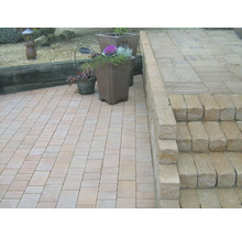 Gepflasterte Terrasse mit Treppe und Pflanzgefäßen