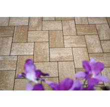 Rechteckige Pflastersteine auf einer Terrasse