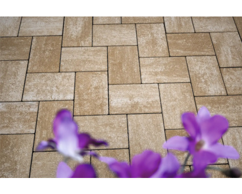 Rechteckige Pflastersteine auf einer Terrasse