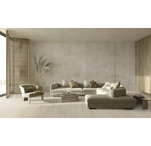 Helles Wohnzimmer mit Sofa, Sessel, Couchtisch und Dekoration