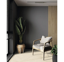 Wohnzimmer mit Sessel, Zimmerpflanze und minimalistischer Einrichtung