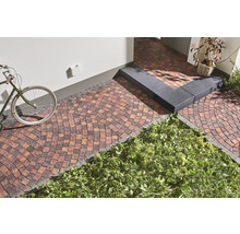 Gepflasterter Außenbereich mit Fahrrad, Treppe und Bepflanzung