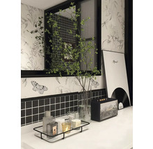 Badezimmer mit Pflanzen, Dekorationsgegenständen, einem Lautsprecher und einer Ablage