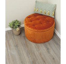 Dekorative Szene mit rundem Hocker, Zierkissen und Topfpflanze in einer Ecke