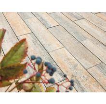 Rechteckige Pflastersteine im Garten verlegt