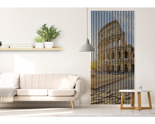 Akustikpaneel digital bedruckt Colosseum 1 2400 x 1133 x 19 mm Set = 2 Einzelpaneele
