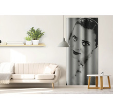 Wohnzimmer mit Sofa, Regal mit Pflanzen und Wandbild mit vertikalen Streifen, das ein Gesicht zeigt