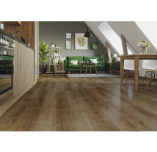 Wohnraum mit Holzboden, Sofa, Tisch und Stühlen unter Dachfenstern