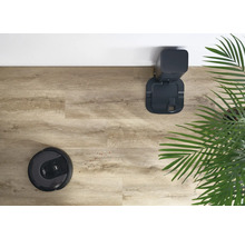 Aufsicht auf einen Saugroboter mit Ladestation und Zimmerpflanze auf Holzboden