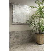 Dekorative Wand mit Pflanze in geflochtenem Topf.