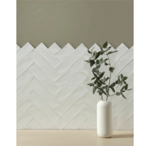 Wandfliesen im Fischgrätmuster mit einer Vase und Pflanzen