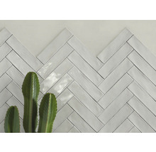 Hellgraue Keramikfliesen im Fischgrätenmuster mit Kaktus