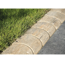 Gartenweg mit Rasen und Randsteinen