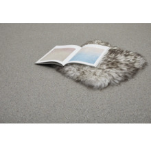 Offenes Buch auf einem Fellteppich