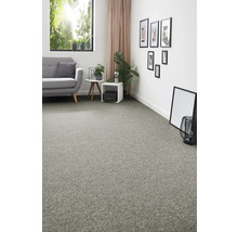 Wohnzimmer mit grauem Teppichboden, Sofa und Dekorationen