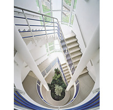 Ansicht von oben eines Treppenhauses mit Wendeltreppe und Pflanzenbeet