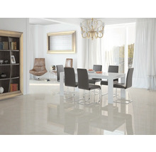 Helles Esszimmer mit Esstisch, Stühlen, Kronleuchter, Bücherregal und Kunstwerk